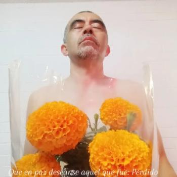 abelillo - date a Mexican, 100% free abelillo